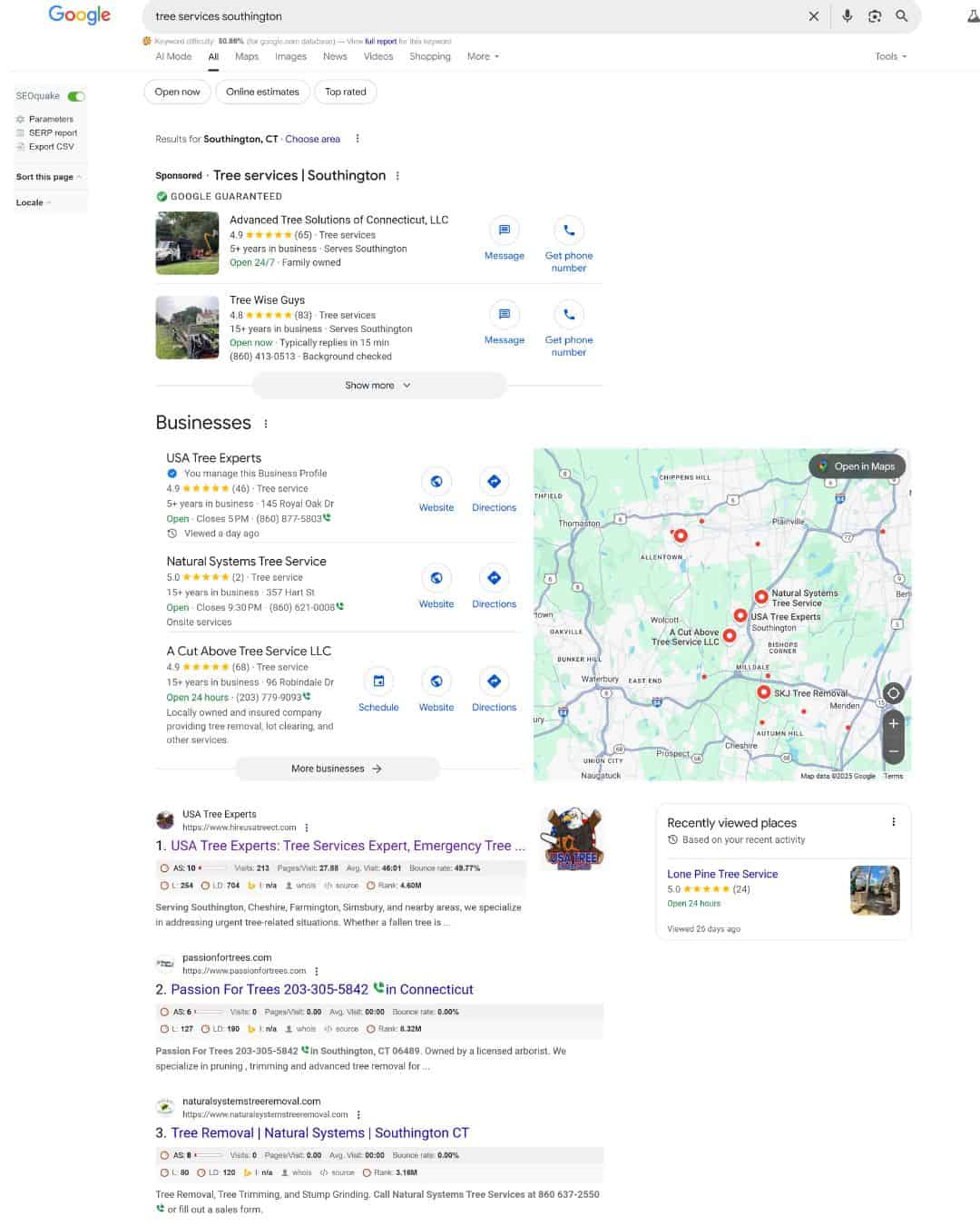 Local SEO success example: Southington-based tree service ranked #1 in Google Maps and search results. Our same SEO strategies can drive similar results for Cheshire service businesses.