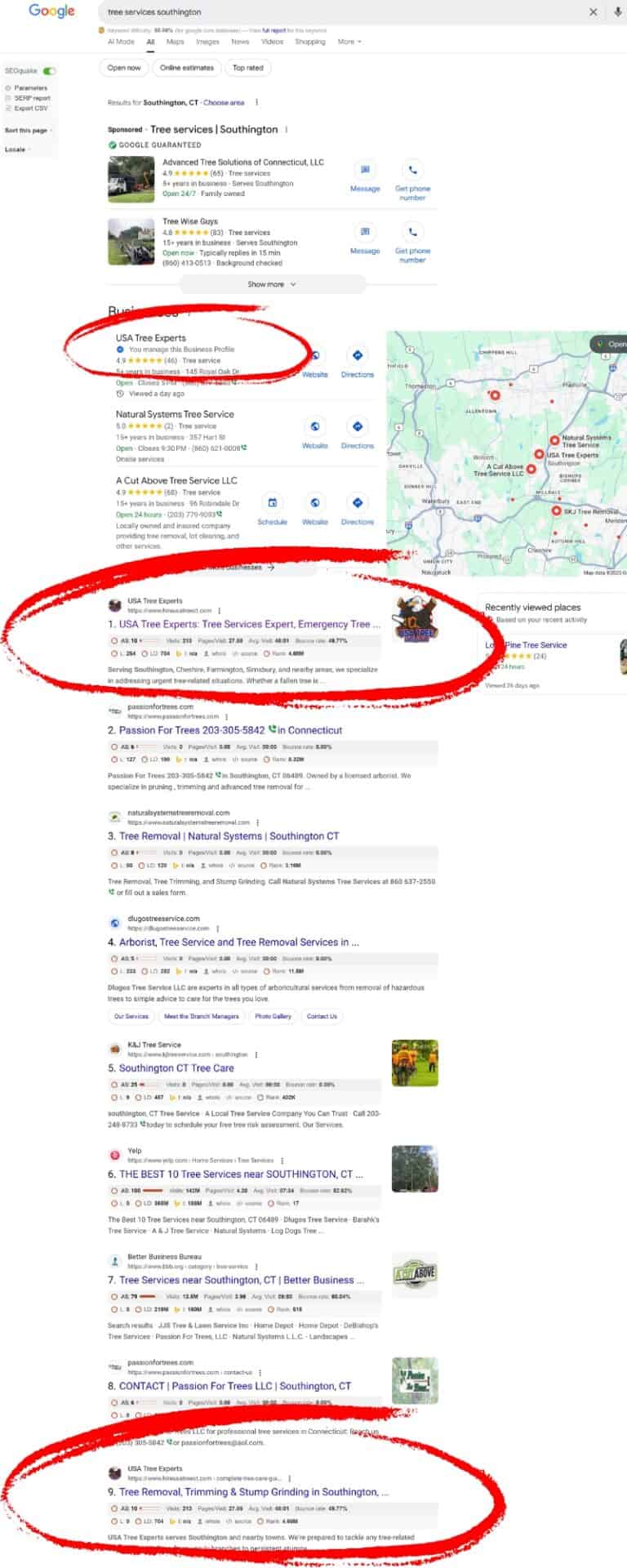 Screenshot showing USA Tree Experts ranking in both the Google Map Pack and organic search results for “tree services Southington,” highlighting a successful backlink and SEO strategy.