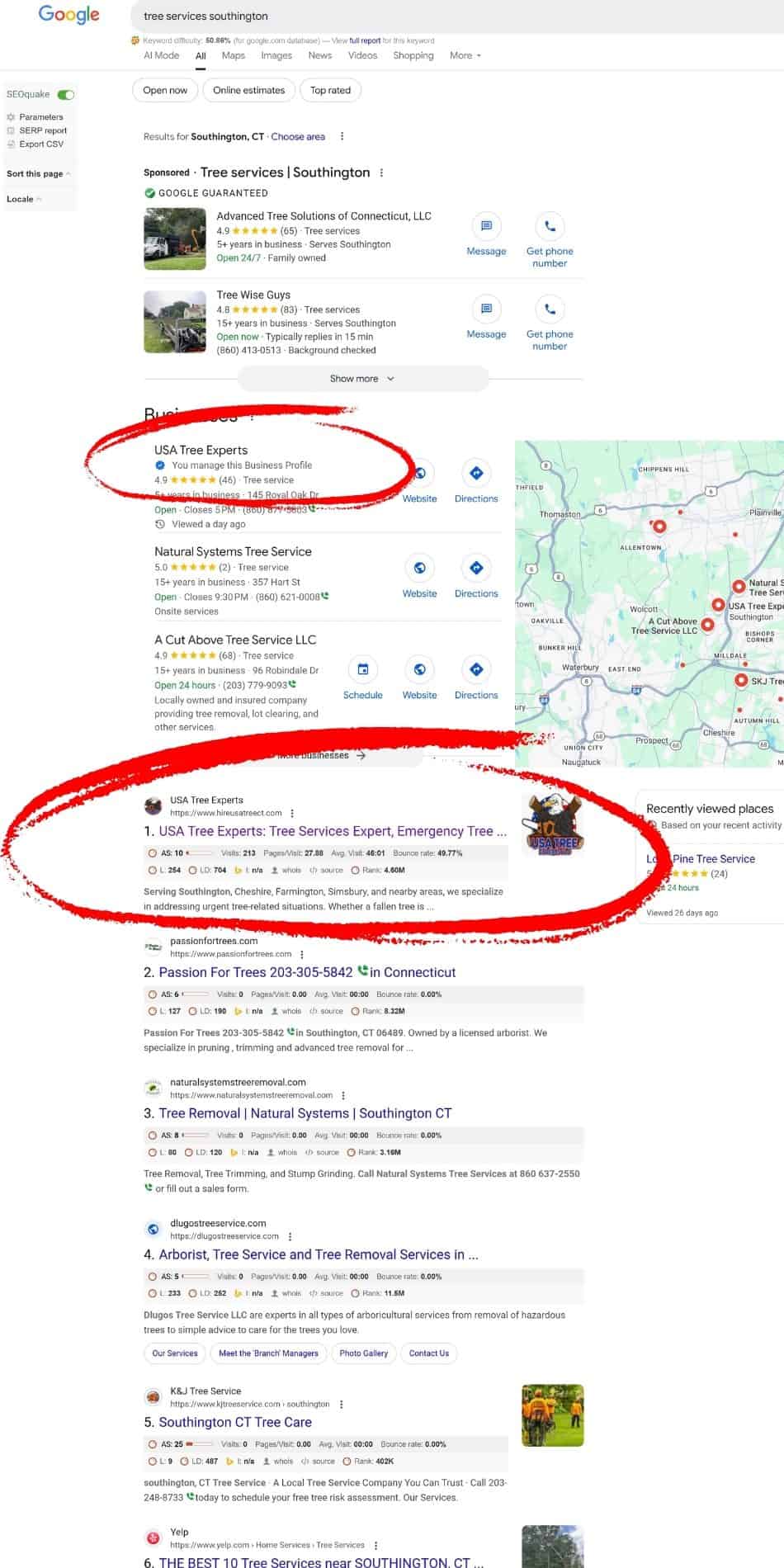 Map Pack and Organic Ranking Results