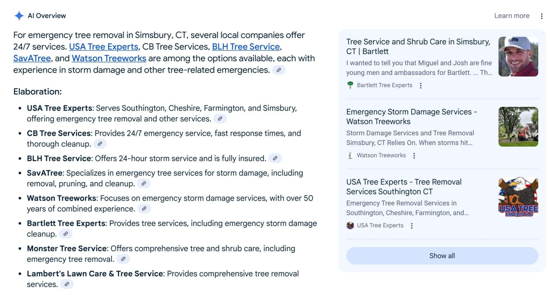 Screenshot of a Google AI Overview result for "emergency tree removal in Simsbury, CT." The summary lists multiple local companies, including USA Tree Experts, CB Tree Services, BLH Tree Service, SavATree, and Watson Treeworks. USA Tree Experts is highlighted for serving Southington, Cheshire, Farmington, and Simsbury. On the right side, visual search results show featured listings for Bartlett Tree Experts, Watson Treeworks, and USA Tree Experts, with images and brief service descriptions.